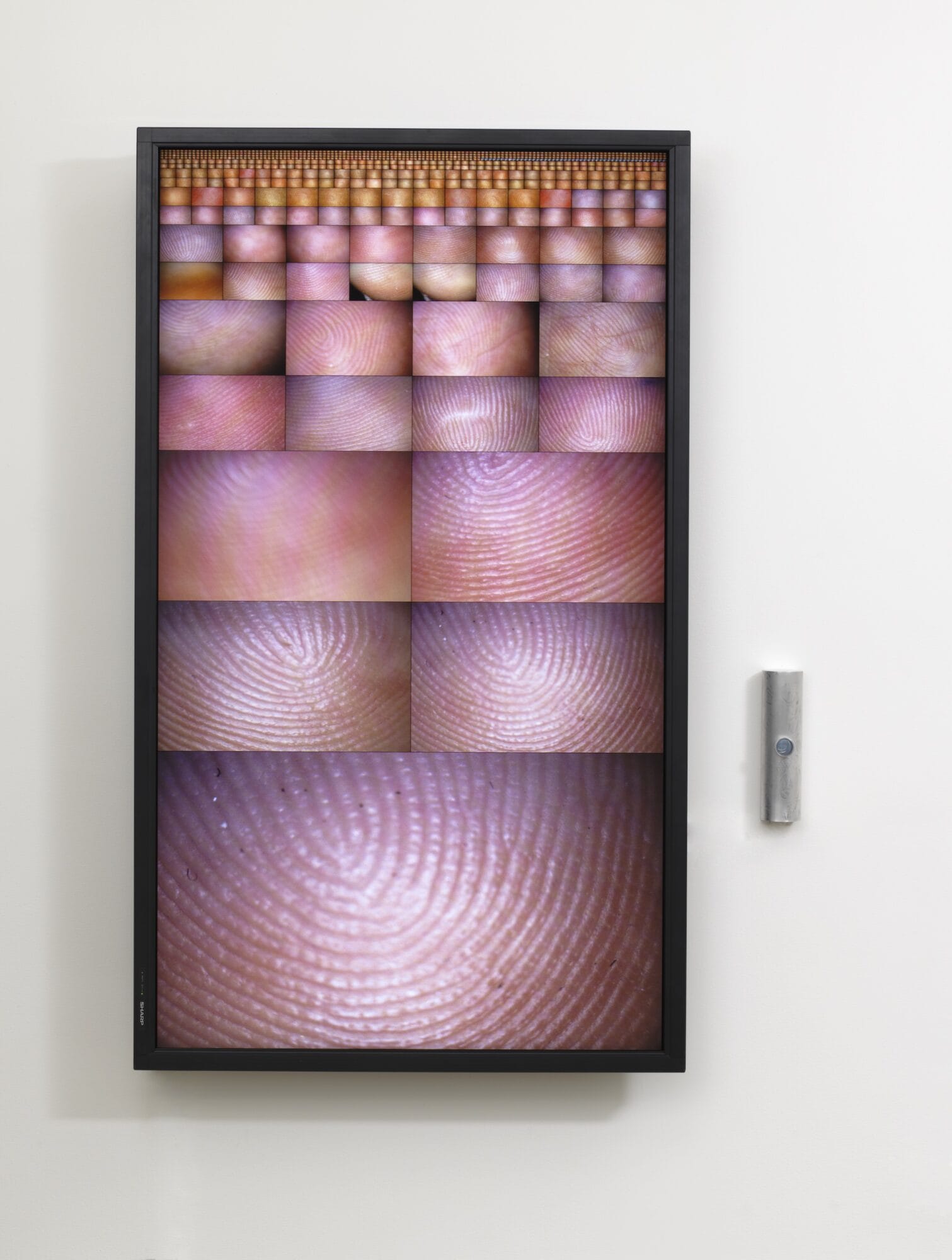 A split screen monitor with close-up images of fingerprints that get progressively smaller.
