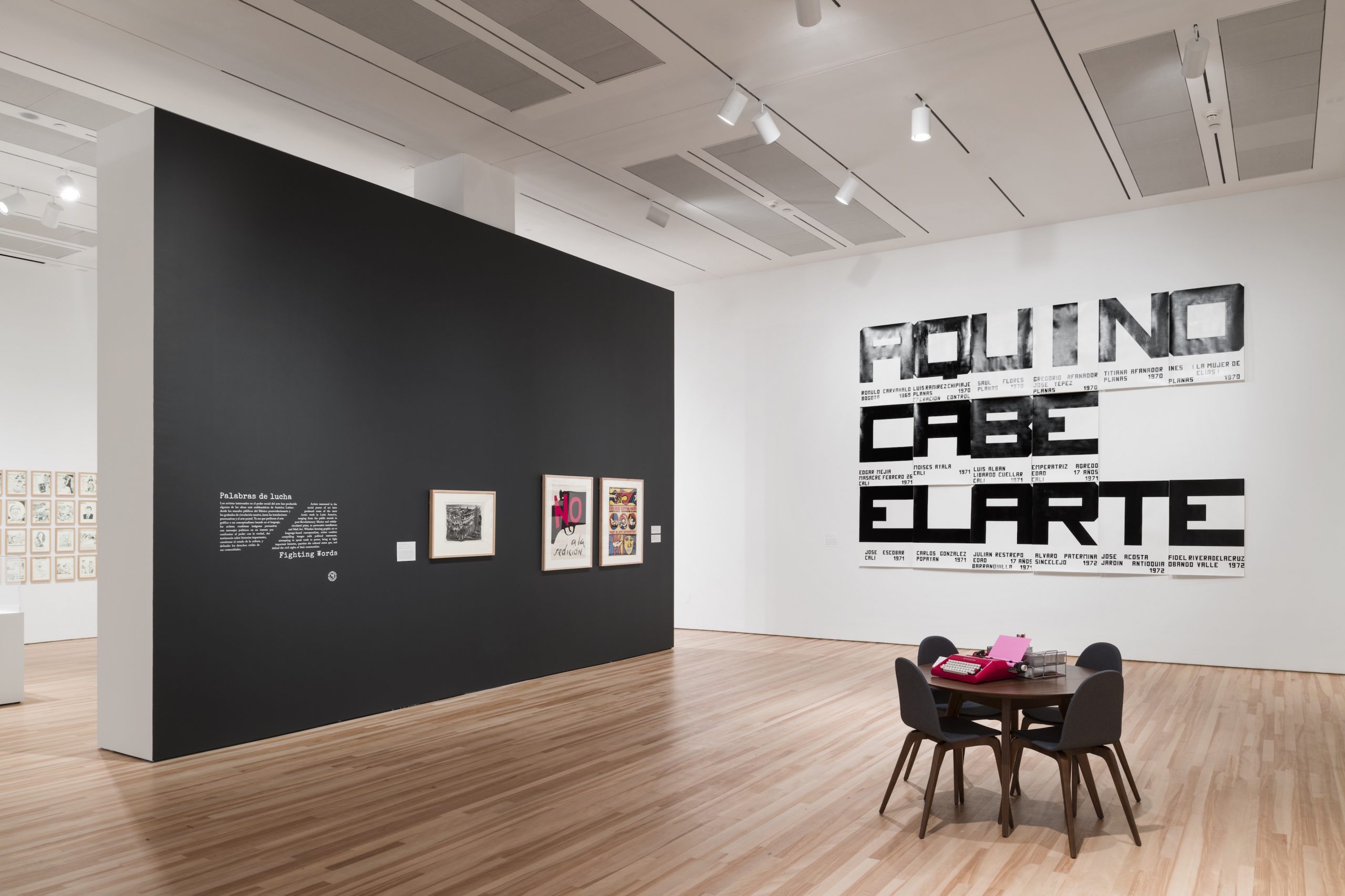 Exhibition view from Words/Matter: Latin American Art and Language at the Blanton
