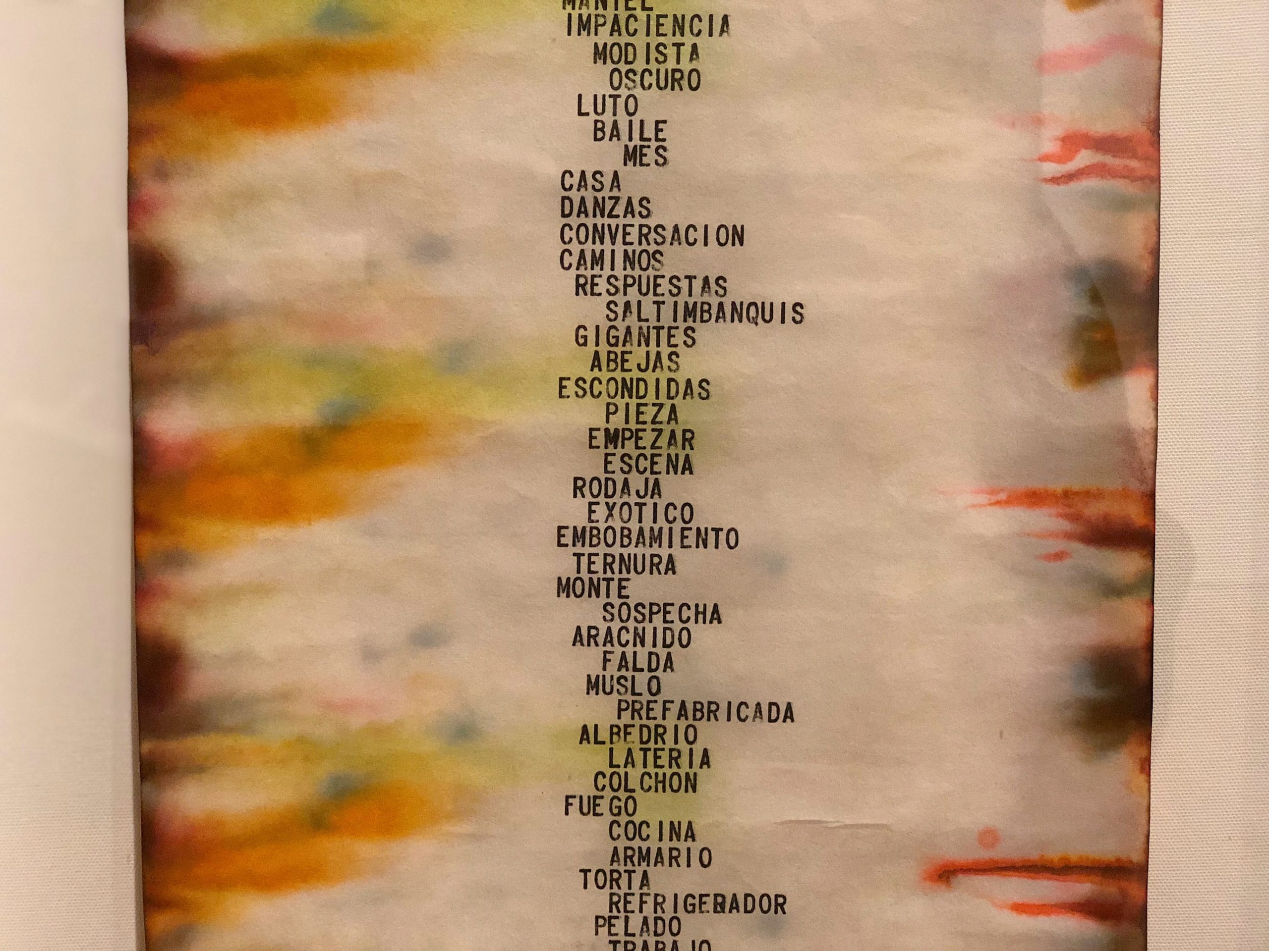 A zoomed-in image of a work on paper with lines of color either side and multiple Spanish words typed down the middle of the ream.