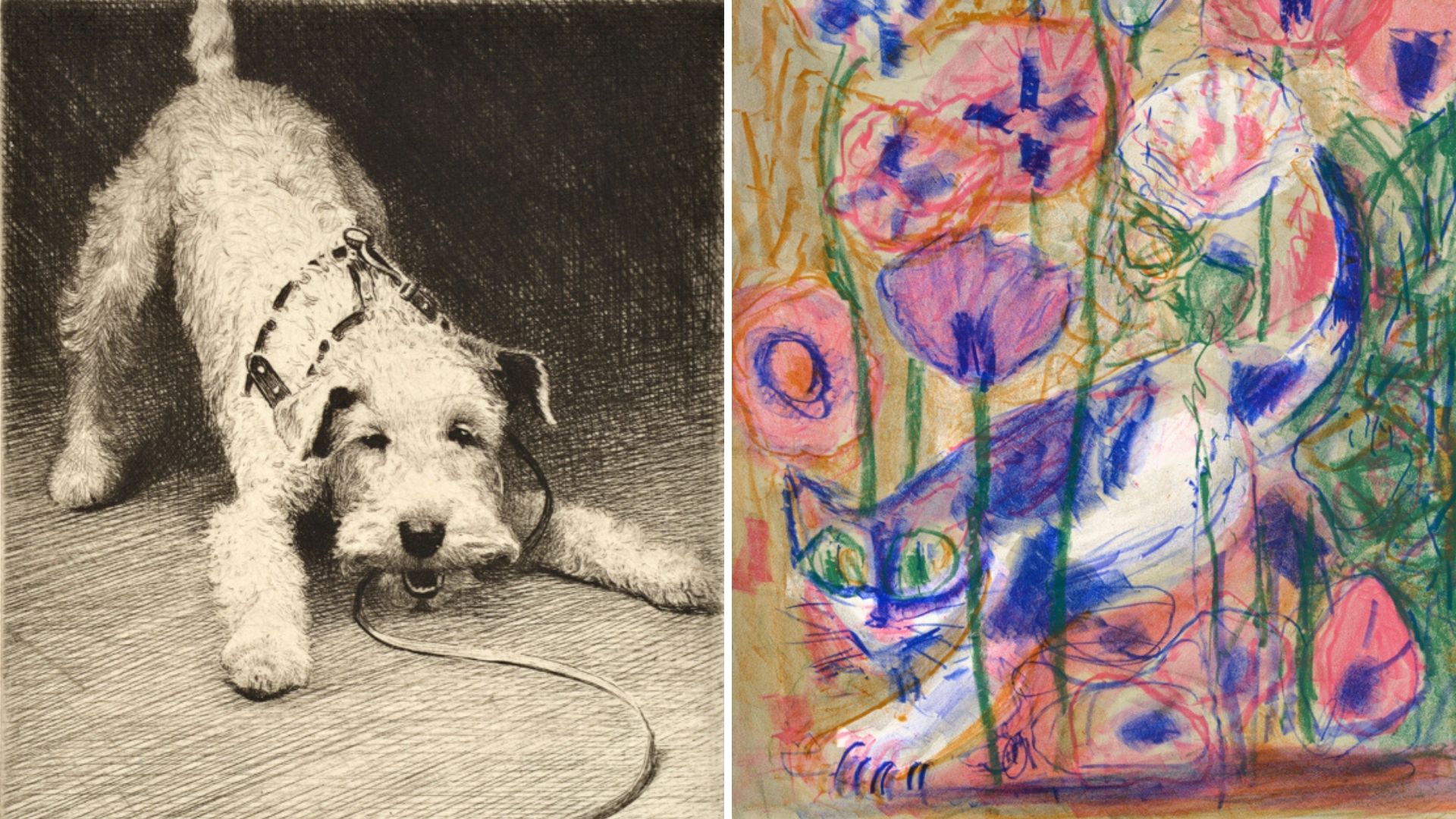 Two drawings; on the left a dog bowing on his front legs and on the right a cat walking amongst blue and pink flowers.