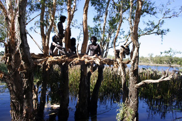 three men sit while one man is standing on a tree stand perched above the water and marsh below. This is a scene from the movie Ten Canoes