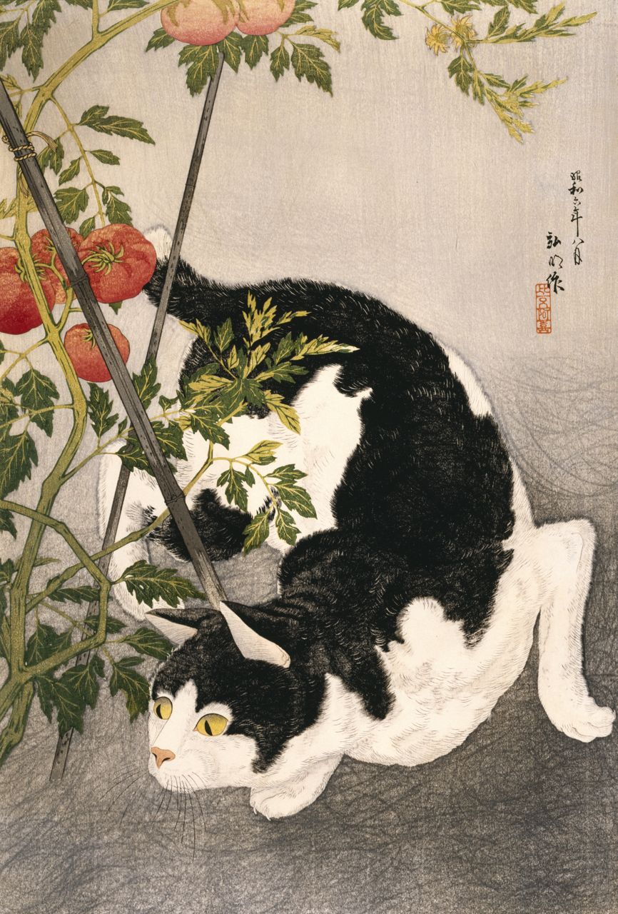 woodblock print of cat prowling around tomato plant
