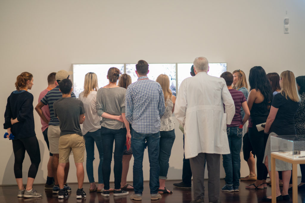 Students from UT’s Dell Medical School viewing art