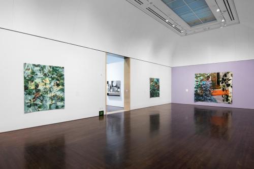 A installation of 3 large paper works on gallery walls. One wall is painted lilac while the other is white